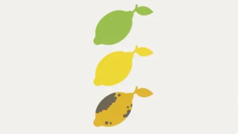 biologicals agriculture biocontrol