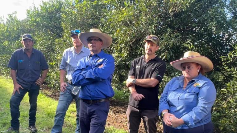 attendees of a tree crop application workshop by Syngenta
