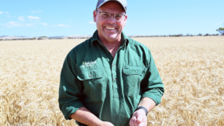 Cummins Ag Nutrien Agronomist Richard May in wheat field