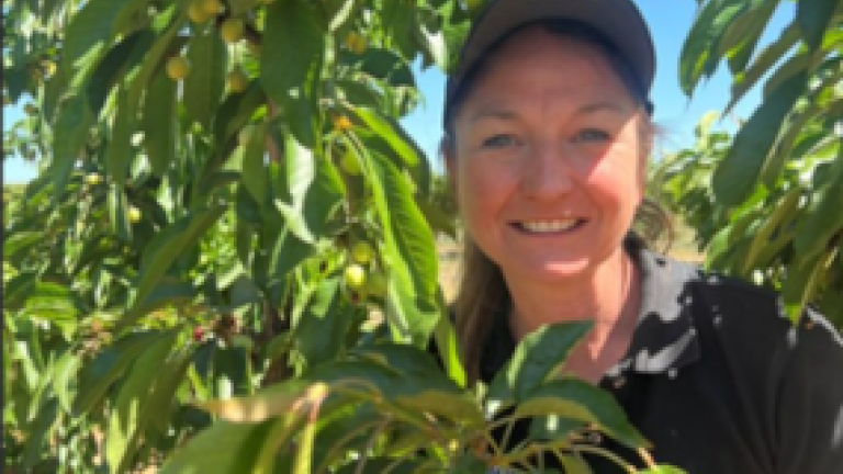 Dr Brandy Rawsnley from Syngenta in a Cherry Orchard