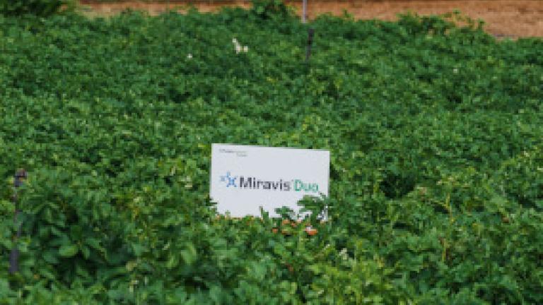 MIRAVIS Duo logo in a potato field