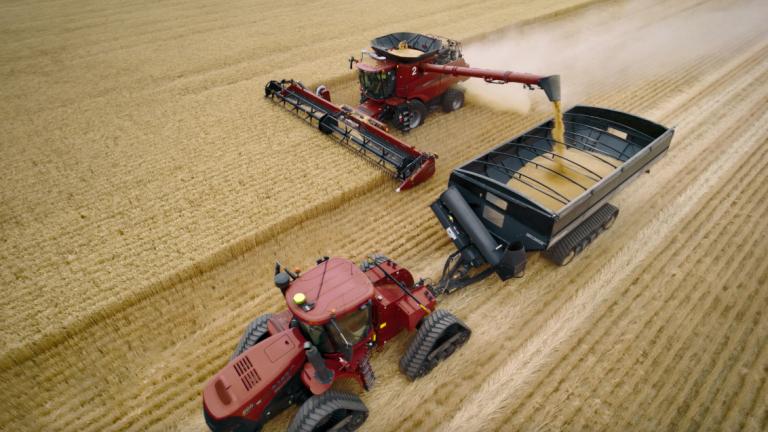 tractor harvesting in healthy wheat field