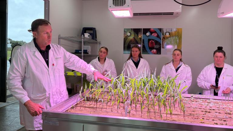 Scientists in lab coats examine seedlings growing in a large indoor tray under lights