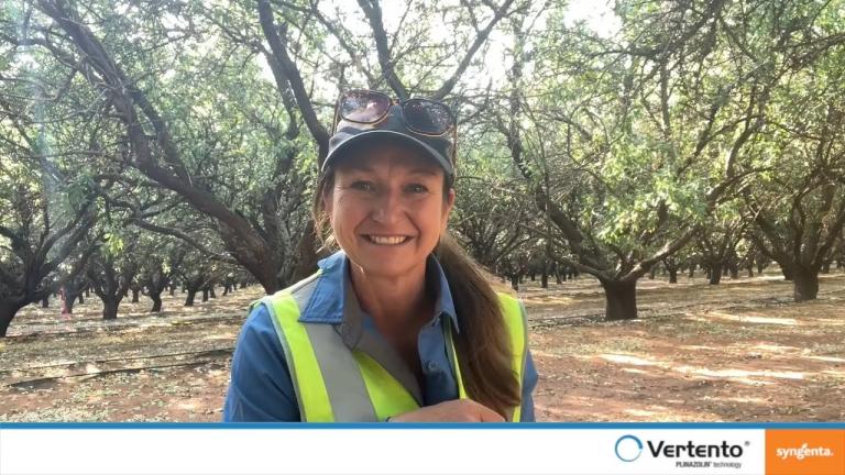 VERTENTO® insecticide in almonds