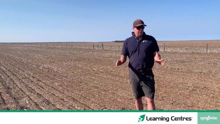 Learning Centres 2020 | Pulse herbicide trial