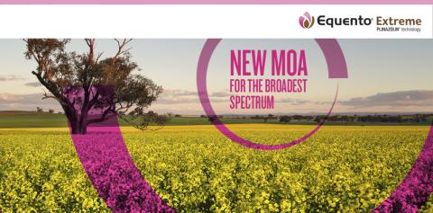 EQUENTO® Extreme | Seed treatment