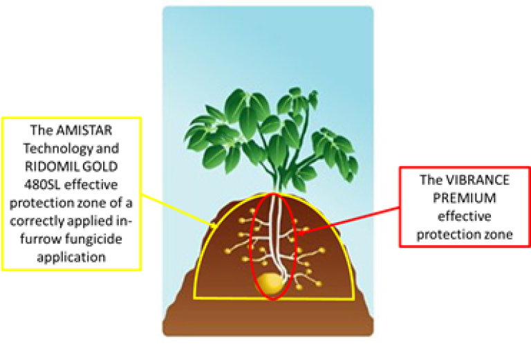 In-furrow fungicides from Syngenta. When applied correctly delivers superior control within the potato root zone.
