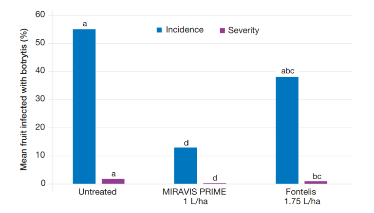 Botrytis infection graph