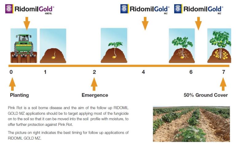 ridomil diagram