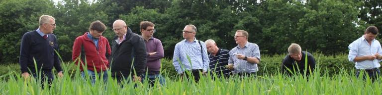 2015 Growth Awards Study Tour