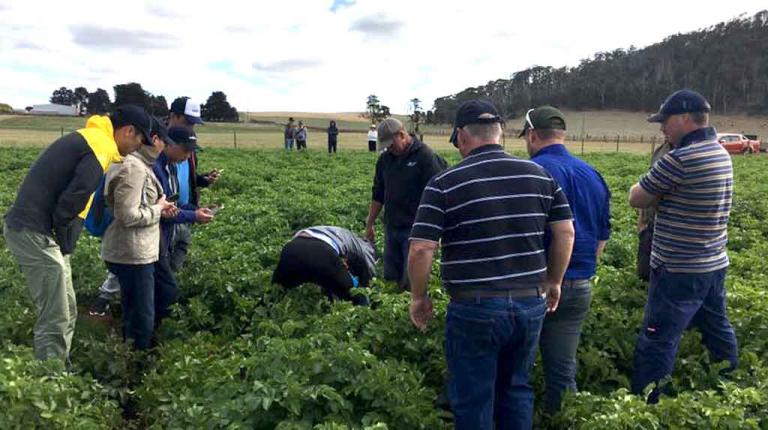 Chinese delegation that recently toured the Creswick potato growing area 