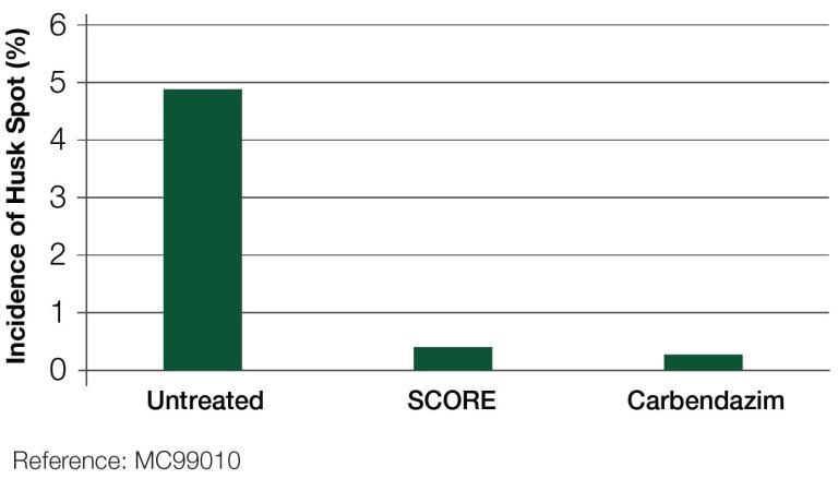 Incidence of Husk Spot