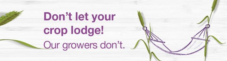 Moddus Evo - Don't let your crop lodge