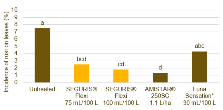 Incidence of rust on leaves comparison