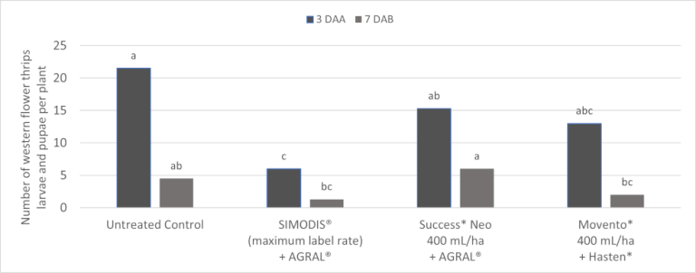 simodis update 7 graph