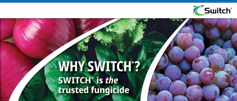Switch product banner