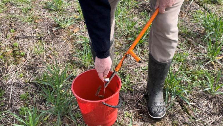 Syngenta is supporting  PREDICTA* B testing to help manage crown rot risk.