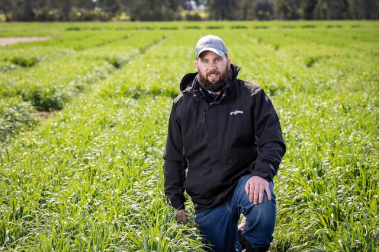 James Considine, Syngenta Technical Services Lead