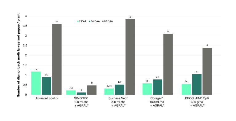 Diamondback Moth Graph