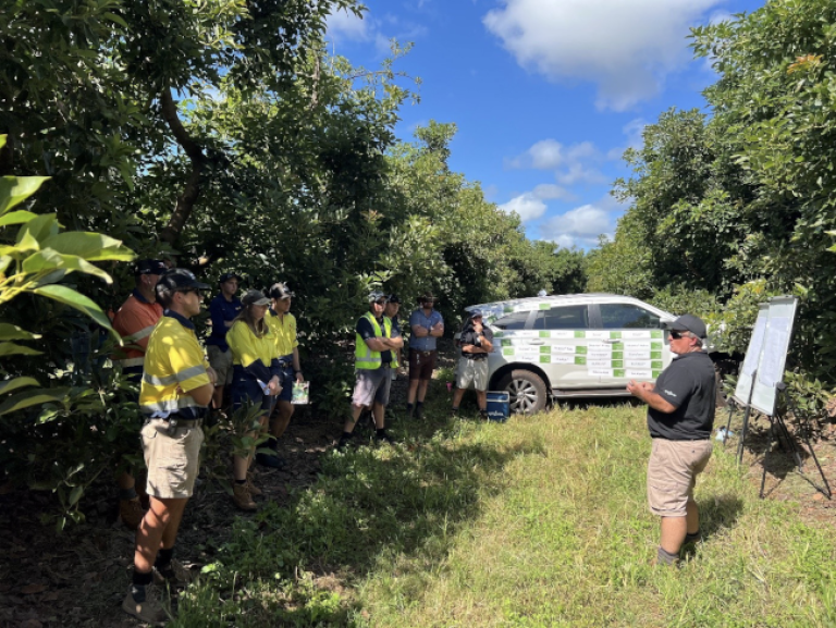 Syngenta Vertento field walk