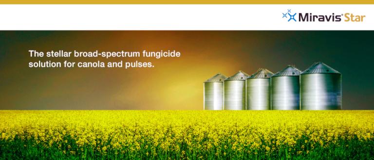 Miravis Star banner Syngenta