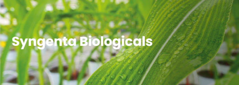 Syngenta Biologicals banner - water droplets on leaf