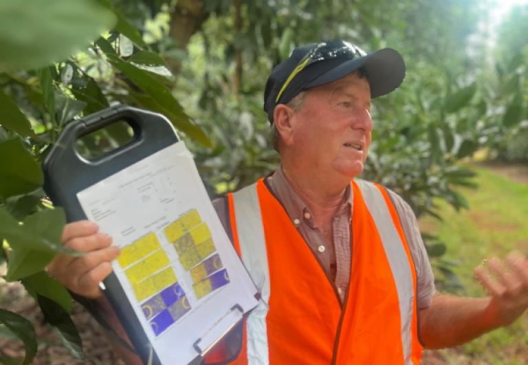 Dr David Manktelow in a tree crop orchard