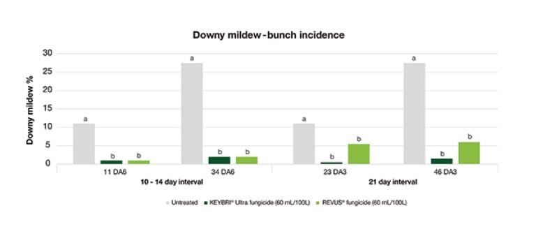  Incidence of downy mildew (Plasmopara viticola) on grapevine bunches (cv. Merlot) following multiple applications of KEYBRI Ultra and REVUS applied at 10-14 (6-spray program) or 21-day intervals (3-spray program) from E-L 12 (5 leaves separated) to E-L 31 (pea sized).