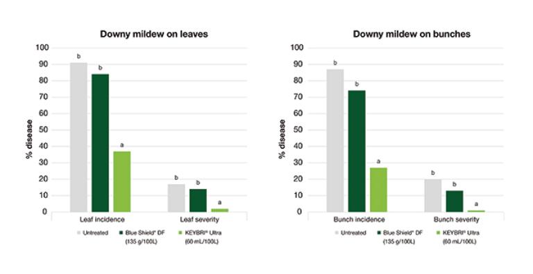 Incidence and severity of downy mildew (Plasmopara viticola) on grapevine leaves and bunches (cv. Chardonnay) following two applications at E-L 16 & E-L 18  (21-day interval).