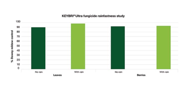 Performance of KEYBRI® Ultra before and after simulated rainfall.