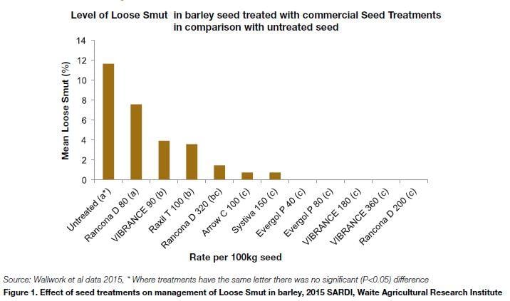 Loose smut in barley seed rates