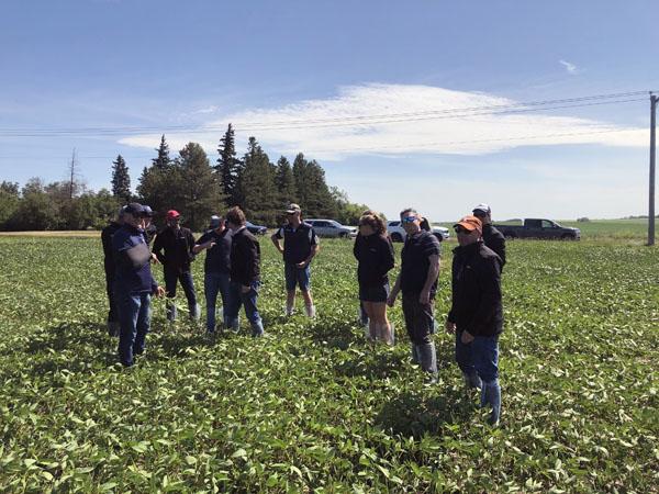 Club Root Canola Canada boot covers