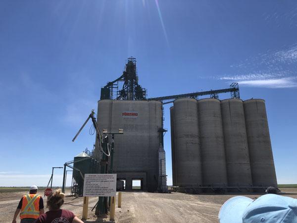 Crop protection grain receival Richardson Pioneer Canada