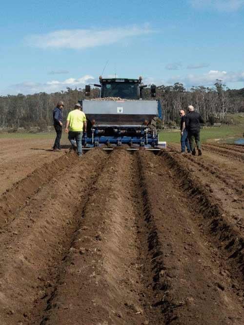 Periodic checks of how the in-furrow application of Amistar is being applied is recommended.