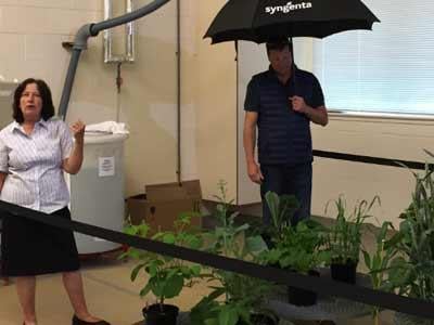 Rain tower at the SYngenta Jealott's Hill R&D facility