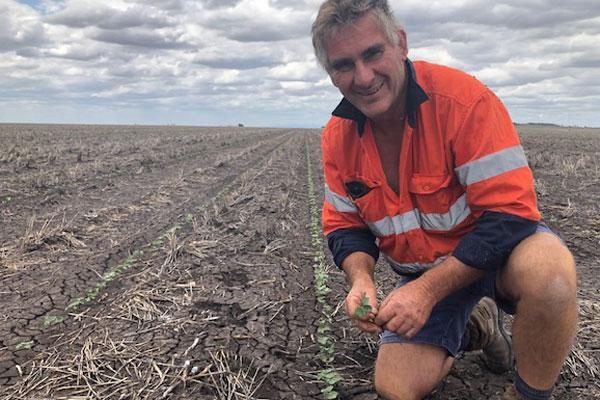 The FastStart Awards recognised excellence in cotton establishment, through a partnership between CSD and Syngenta.