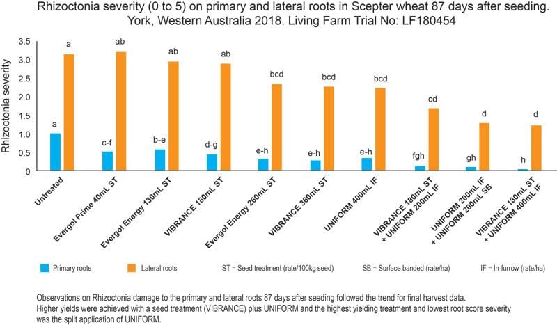 Syngenta and Living Farm conducted a trial comparing rhizoctonia controls in York, WA, in 2018.