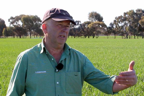 Syngenta developed TALINOR® as a specialist for the in-crop control of hard-to-kill broadleaf weeds while being safe on wheat and barley.