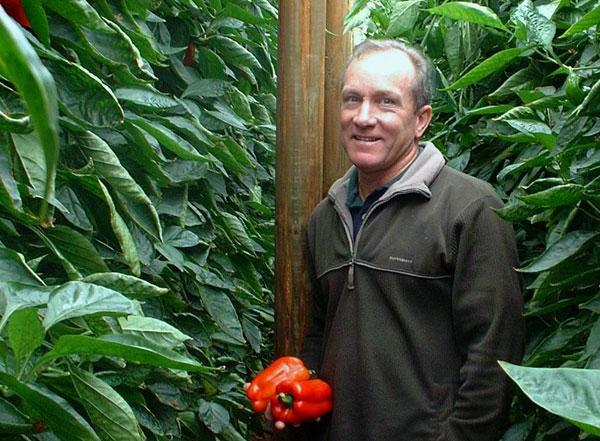 Peter March holding capsicums