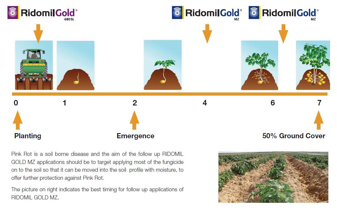 ridomil diagram