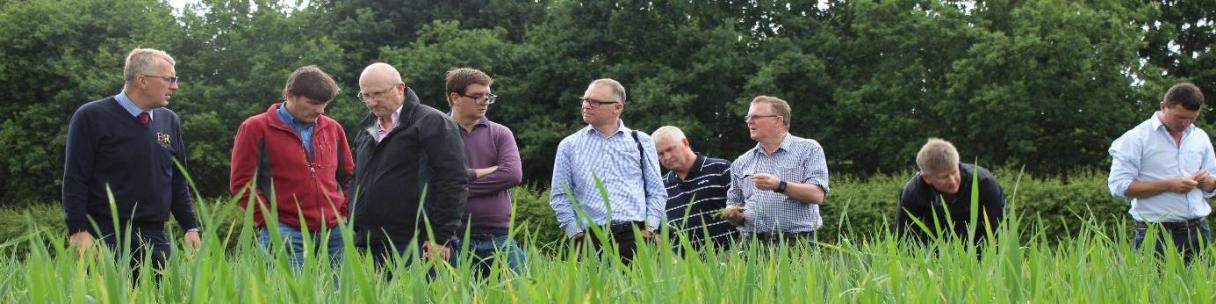 2015 Growth Awards Study Tour