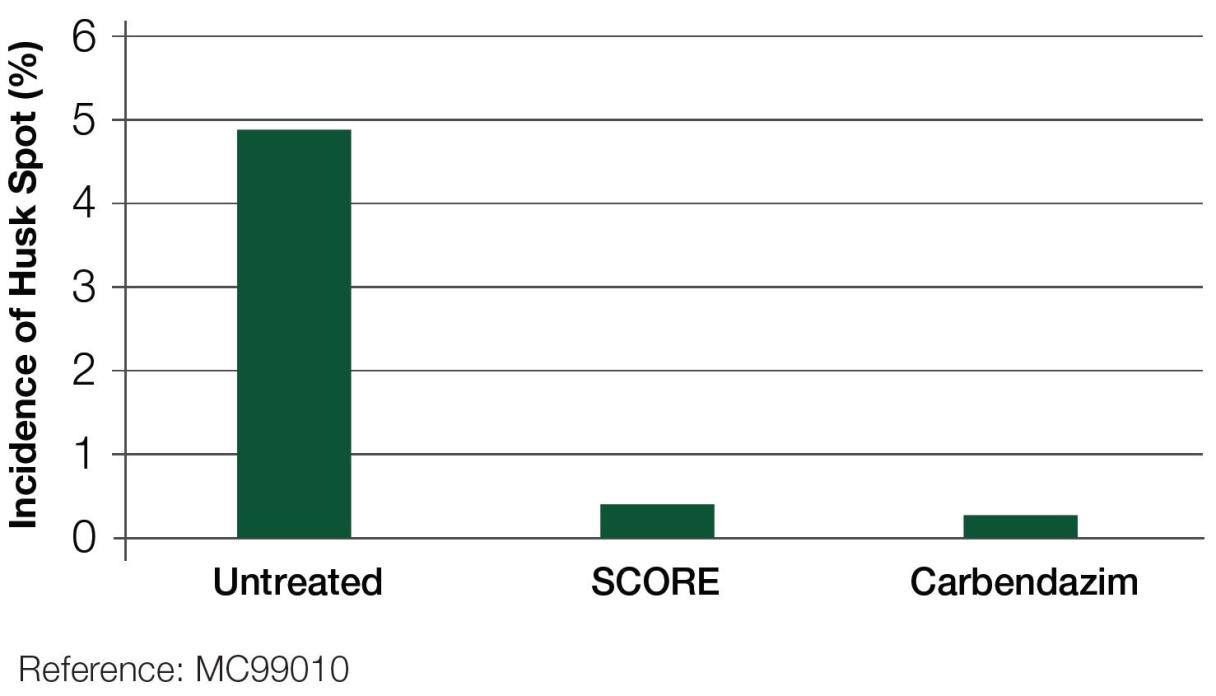 Incidence of Husk Spot