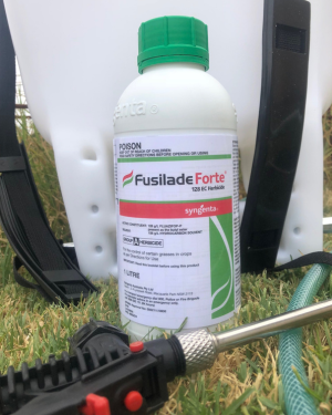 FUSILADE® Forte herbicide can be safely applied to manage grass weeds in certain berry crops.