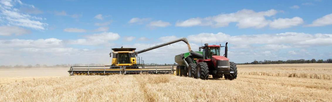 Syngenta Broadacre News