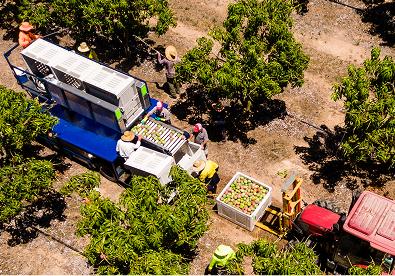 VERTENTO® Insecticide better practices| Syngenta