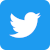 Twitter Social Icon