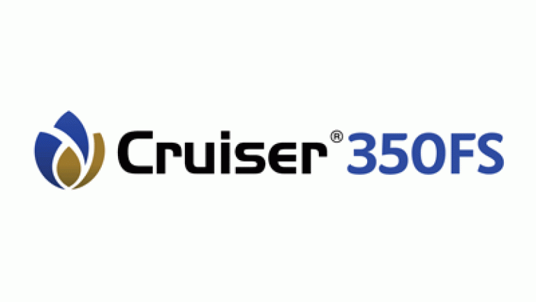 Cruiser 350 FS logo