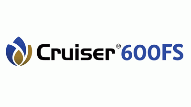 cruiser 600FS Logo