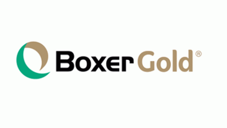 boxer gold logo