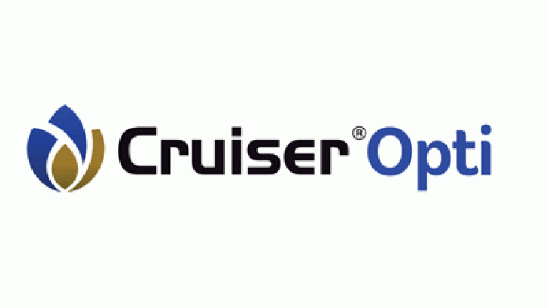 cruiser opti logo